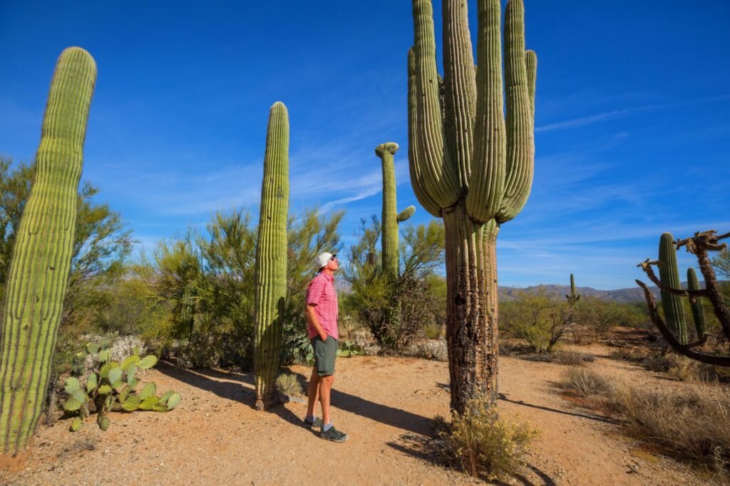 shutterstock_2096924623