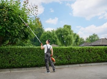 shutterstock_2123422313